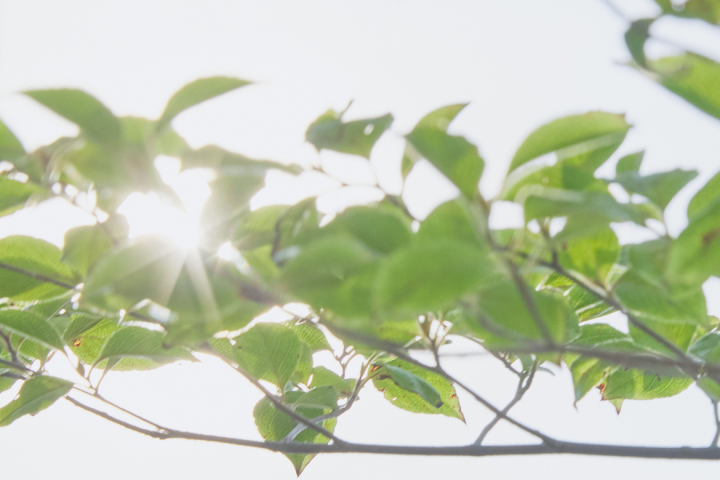 1ページでわかる遠藤製作所